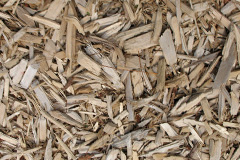 biomass boilers Lutton